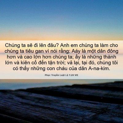 Picture 06 - Phục Truyền Luật Lệ 1:28 VIE - Chúng ta sẽ đi lên đâu? Anh em chúng ta - Bible Verse Picture