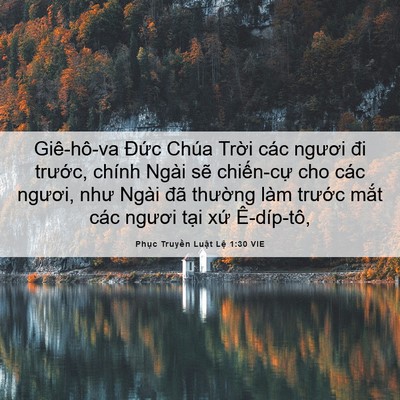 Picture 06 - Phục Truyền Luật Lệ 1:30 VIE - Giê-hô-va Đức Chúa Trời các ngươi đi - Bible Verse Picture