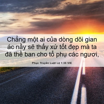 Picture 06 - Phục Truyền Luật Lệ 1:35 VIE - Chẳng một ai của dòng dõi gian ác nầy - Bible Verse Picture