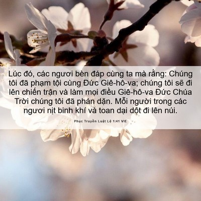 Picture 06 - Phục Truyền Luật Lệ 1:41 VIE - Lúc đó, các ngươi bèn đáp cùng ta mà - Bible Verse Picture