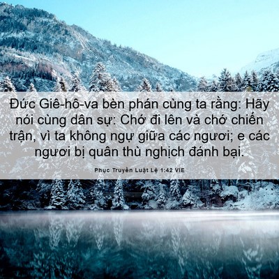 Picture 06 - Phục Truyền Luật Lệ 1:42 VIE - Đức Giê-hô-va bèn phán cùng ta rằng: - Bible Verse Picture