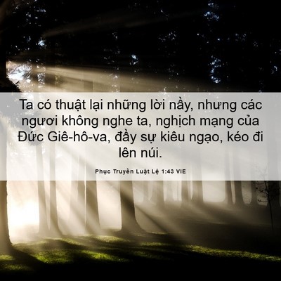 Picture 06 - Phục Truyền Luật Lệ 1:43 VIE - Ta có thuật lại những lời nầy, nhưng - Bible Verse Picture