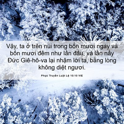 Picture 06 - Phục Truyền Luật Lệ 10:10 VIE - Vậy, ta ở trên núi trong bốn mươi ngày - Bible Verse Picture