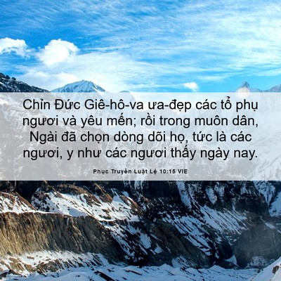 Picture 06 - Phục Truyền Luật Lệ 10:15 VIE - Chỉn Đức Giê-hô-va ưa-đẹp các tổ - Bible Verse Picture