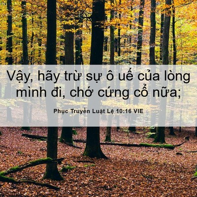 Picture 06 - Phục Truyền Luật Lệ 10:16 VIE - Vậy, hãy trừ sự ô uế của lòng mình - Bible Verse Picture
