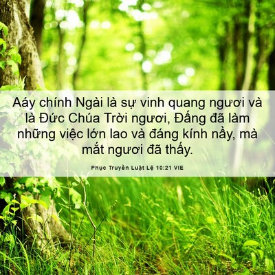 Picture 06 - Phục Truyền Luật Lệ 10:21 VIE - Aáy chính Ngài là sự vinh quang ngươi và - Bible Verse Picture