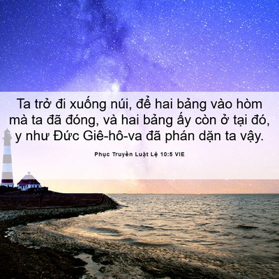 Picture 06 - Phục Truyền Luật Lệ 10:5 VIE - Ta trở đi xuống núi, để hai bảng vào - Bible Verse Picture