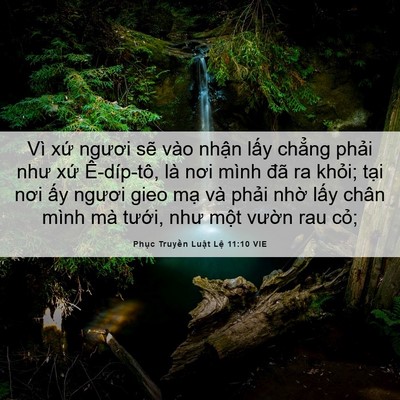 Picture 06 - Phục Truyền Luật Lệ 11:10 VIE - Vì xứ ngươi sẽ vào nhận lấy chẳng - Bible Verse Picture