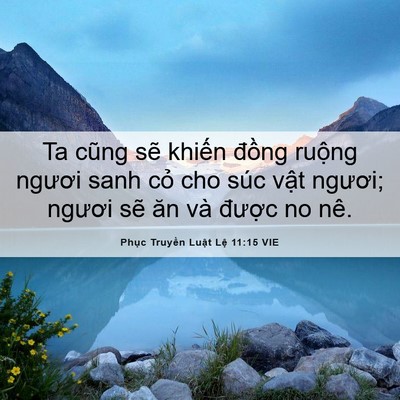 Picture 06 - Phục Truyền Luật Lệ 11:15 VIE - Ta cũng sẽ khiến đồng ruộng ngươi - Bible Verse Picture