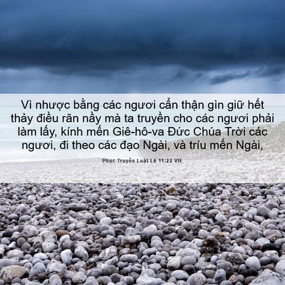 Picture 06 - Phục Truyền Luật Lệ 11:22 VIE - Vì nhược bằng các ngươi cẩn thận - Bible Verse Picture