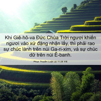 Picture 06 - Phục Truyền Luật Lệ 11:29 VIE - Khi Giê-hô-va Đức Chúa Trời ngươi - Bible Verse Picture