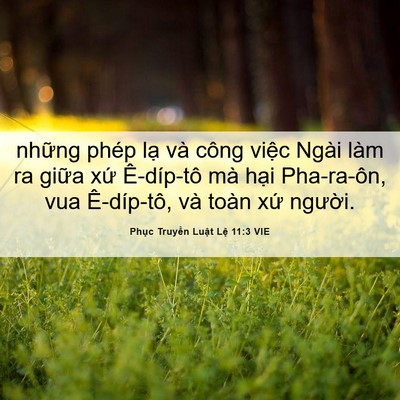Picture 06 - Phục Truyền Luật Lệ 11:3 VIE - những phép lạ và công việc Ngài làm ra - Bible Verse Picture
