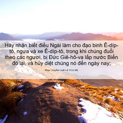 Picture 06 - Phục Truyền Luật Lệ 11:4 VIE - Hãy nhận biết điều Ngài làm cho đạo - Bible Verse Picture