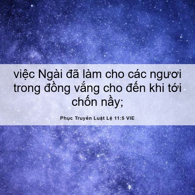 Picture 06 - Phục Truyền Luật Lệ 11:5 VIE - việc Ngài đã làm cho các ngươi trong - Bible Verse Picture