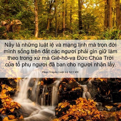 Picture 06 - Phục Truyền Luật Lệ 12:1 VIE - Nầy là những luật lệ và mạng lịnh - Bible Verse Picture