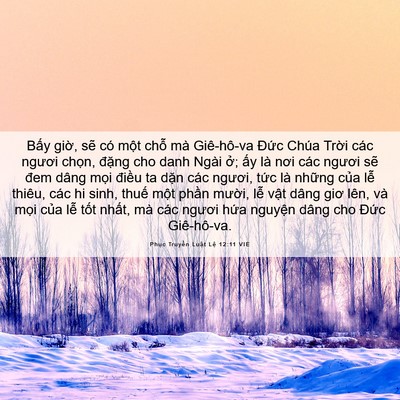 Picture 06 - Phục Truyền Luật Lệ 12:11 VIE - Bấy giờ, sẽ có một chỗ mà Giê-hô-va - Bible Verse Picture