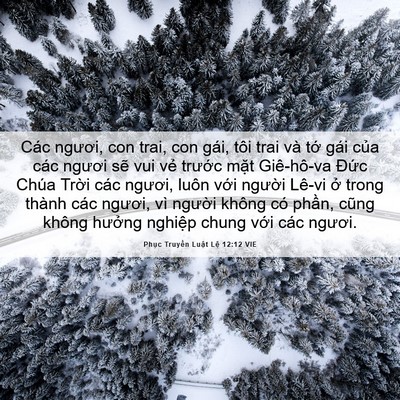 Picture 06 - Phục Truyền Luật Lệ 12:12 VIE - Các ngươi, con trai, con gái, tôi trai và - Bible Verse Picture
