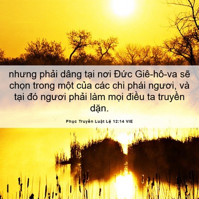 Picture 06 - Phục Truyền Luật Lệ 12:14 VIE - nhưng phải dâng tại nơi Đức Giê-hô-va - Bible Verse Picture