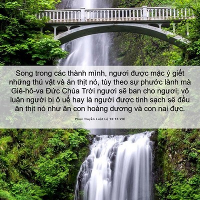 Picture 06 - Phục Truyền Luật Lệ 12:15 VIE - Song trong các thành mình, ngươi được - Bible Verse Picture