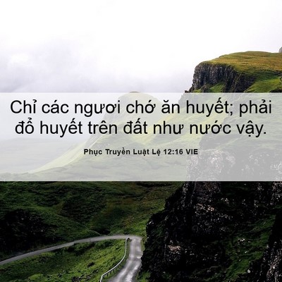 Picture 06 - Phục Truyền Luật Lệ 12:16 VIE - Chỉ các ngươi chớ ăn huyết; phải - Bible Verse Picture