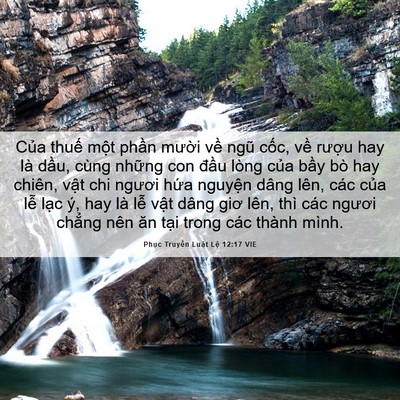Picture 06 - Phục Truyền Luật Lệ 12:17 VIE - Của thuế một phần mười về ngũ - Bible Verse Picture
