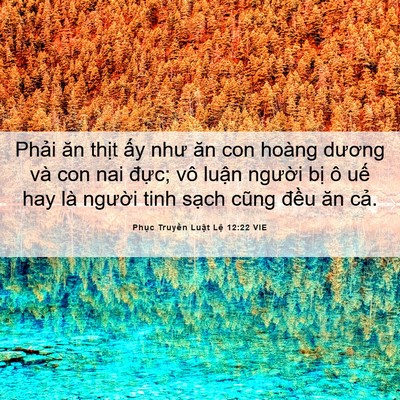 Picture 06 - Phục Truyền Luật Lệ 12:22 VIE - Phải ăn thịt ấy như ăn con hoàng - Bible Verse Picture