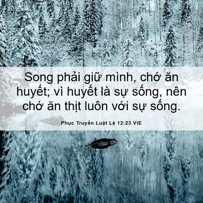 Picture 06 - Phục Truyền Luật Lệ 12:23 VIE - Song phải giữ mình, chớ ăn huyết; vì - Bible Verse Picture