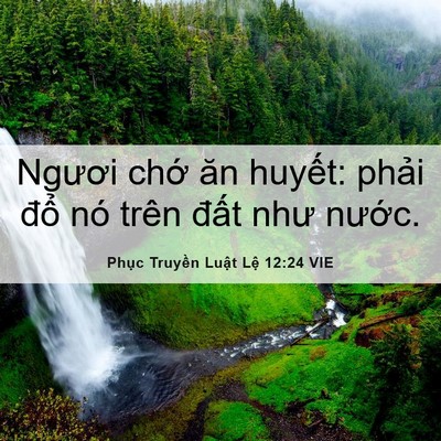 Picture 06 - Phục Truyền Luật Lệ 12:24 VIE - Ngươi chớ ăn huyết: phải đổ nó trên - Bible Verse Picture