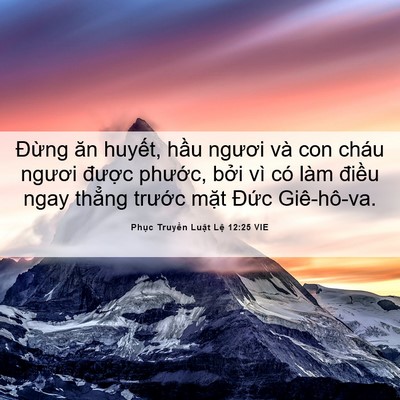 Picture 06 - Phục Truyền Luật Lệ 12:25 VIE - Đừng ăn huyết, hầu ngươi và con cháu - Bible Verse Picture
