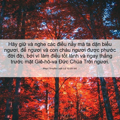 Picture 06 - Phục Truyền Luật Lệ 12:28 VIE - Hãy giữ và nghe các điều nầy mà ta - Bible Verse Picture