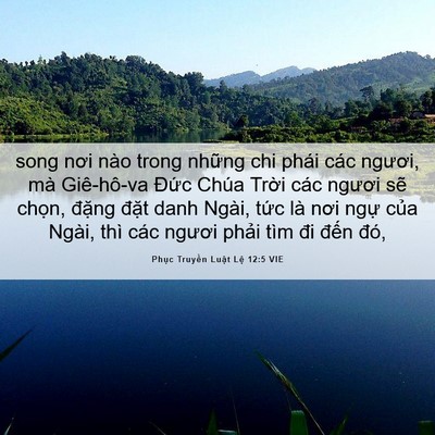 Picture 06 - Phục Truyền Luật Lệ 12:5 VIE - song nơi nào trong những chi phái các - Bible Verse Picture