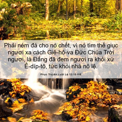 Picture 06 - Phục Truyền Luật Lệ 13:10 VIE - Phải ném đá cho nó chết, vì nó tìm - Bible Verse Picture