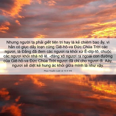 Picture 06 - Phục Truyền Luật Lệ 13:5 VIE - Nhưng người ta phải giết tiên tri hay - Bible Verse Picture