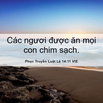 Picture 06 - Phục Truyền Luật Lệ 14:11 VIE - Các ngươi được ăn mọi con chim - Bible Verse Picture