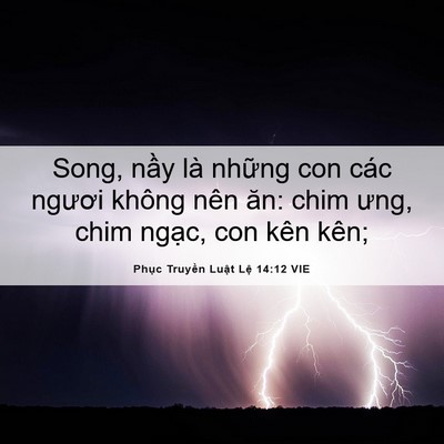 Picture 06 - Phục Truyền Luật Lệ 14:12 VIE - Song, nầy là những con các ngươi không - Bible Verse Picture