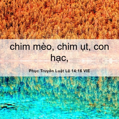 Picture 06 - Phục Truyền Luật Lệ 14:16 VIE - chim mèo, chim ụt, con - Bible Verse Picture