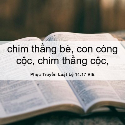 Picture 06 - Phục Truyền Luật Lệ 14:17 VIE - chim thằng bè, con còng cộc, chim thằng - Bible Verse Picture