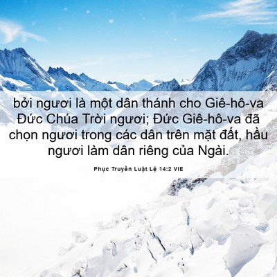 Picture 06 - Phục Truyền Luật Lệ 14:2 VIE - bởi ngươi là một dân thánh cho - Bible Verse Picture