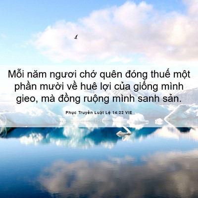 Picture 06 - Phục Truyền Luật Lệ 14:22 VIE - Mỗi năm ngươi chớ quên đóng thuế - Bible Verse Picture