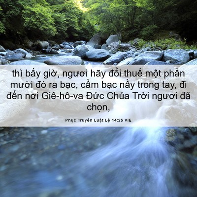 Picture 06 - Phục Truyền Luật Lệ 14:25 VIE - thì bấy giờ, ngươi hãy đổi thuế - Bible Verse Picture