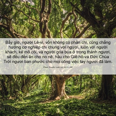 Picture 06 - Phục Truyền Luật Lệ 14:29 VIE - Bấy giờ, người Lê-vi, vốn không có - Bible Verse Picture