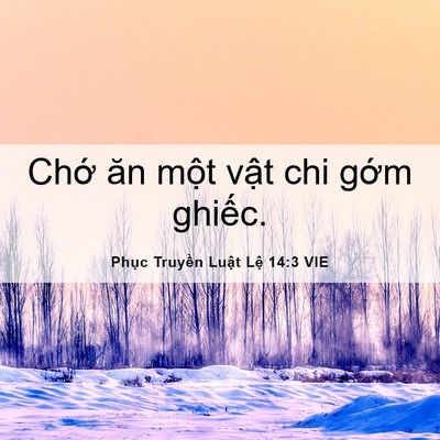Picture 06 - Phục Truyền Luật Lệ 14:3 VIE - Chớ ăn một vật chi gớm - Bible Verse Picture
