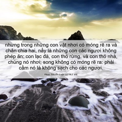 Picture 06 - Phục Truyền Luật Lệ 14:7 VIE - nhưng trong những con vật nhơi có móng - Bible Verse Picture