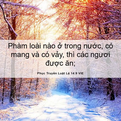 Picture 06 - Phục Truyền Luật Lệ 14:9 VIE - Phàm loài nào ở trong nước, có mang và - Bible Verse Picture