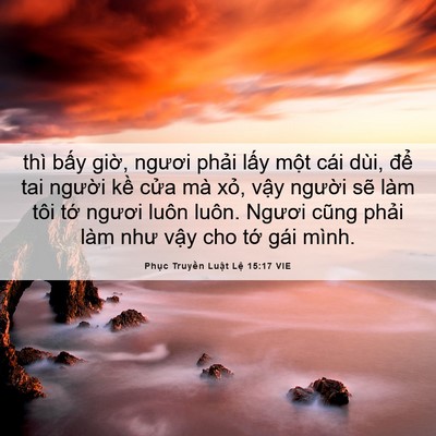 Picture 06 - Phục Truyền Luật Lệ 15:17 VIE - thì bấy giờ, ngươi phải lấy một cái - Bible Verse Picture