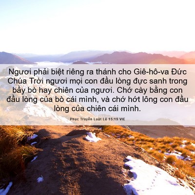 Picture 06 - Phục Truyền Luật Lệ 15:19 VIE - Ngươi phải biệt riêng ra thánh cho - Bible Verse Picture