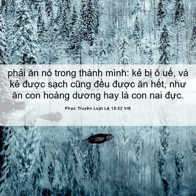 Picture 06 - Phục Truyền Luật Lệ 15:22 VIE - phải ăn nó trong thành mình: kẻ bị ô - Bible Verse Picture