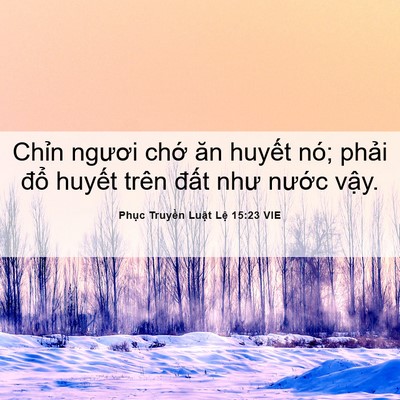 Picture 06 - Phục Truyền Luật Lệ 15:23 VIE - Chỉn ngươi chớ ăn huyết nó; phải - Bible Verse Picture