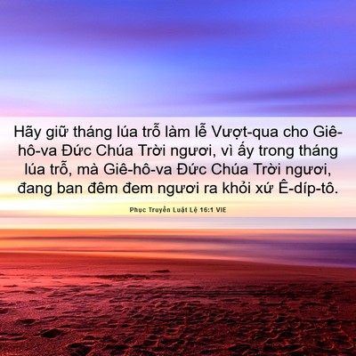 Picture 06 - Phục Truyền Luật Lệ 16:1 VIE - Hãy giữ tháng lúa trỗ làm lễ - Bible Verse Picture