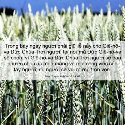 Picture 06 - Phục Truyền Luật Lệ 16:15 VIE - Trong bảy ngày ngươi phải giữ lễ nầy - Bible Verse Picture